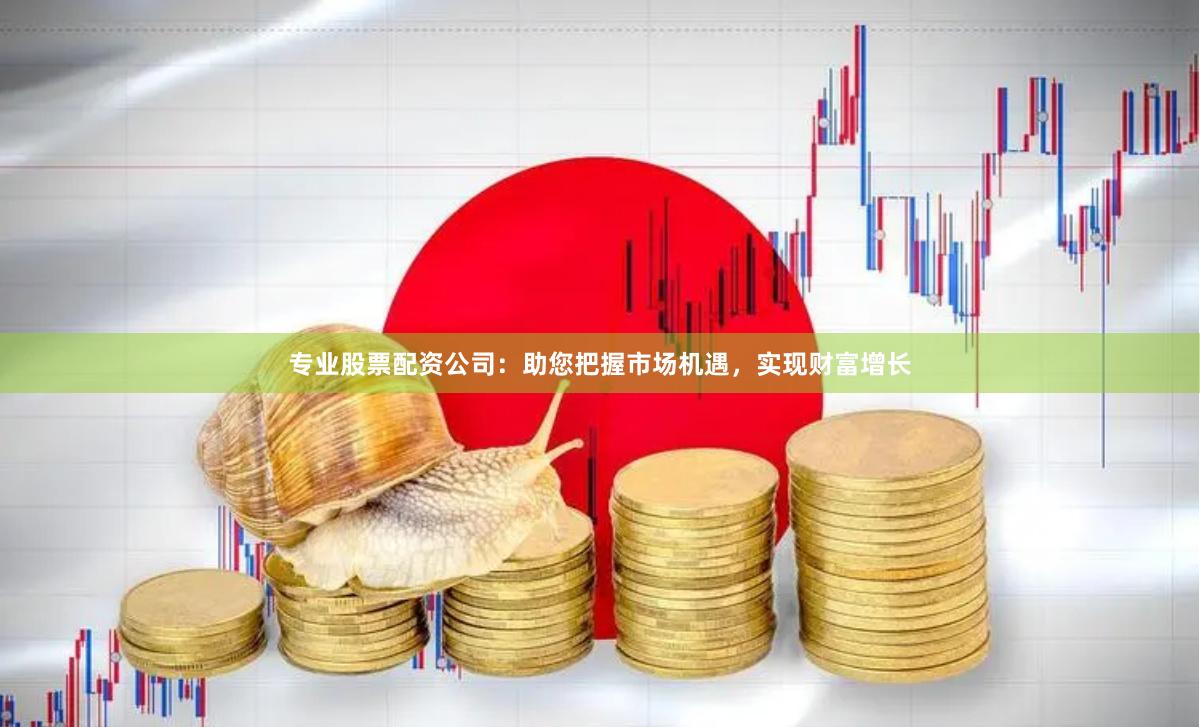 专业股票配资公司：助您把握市场机遇，实现财富增长